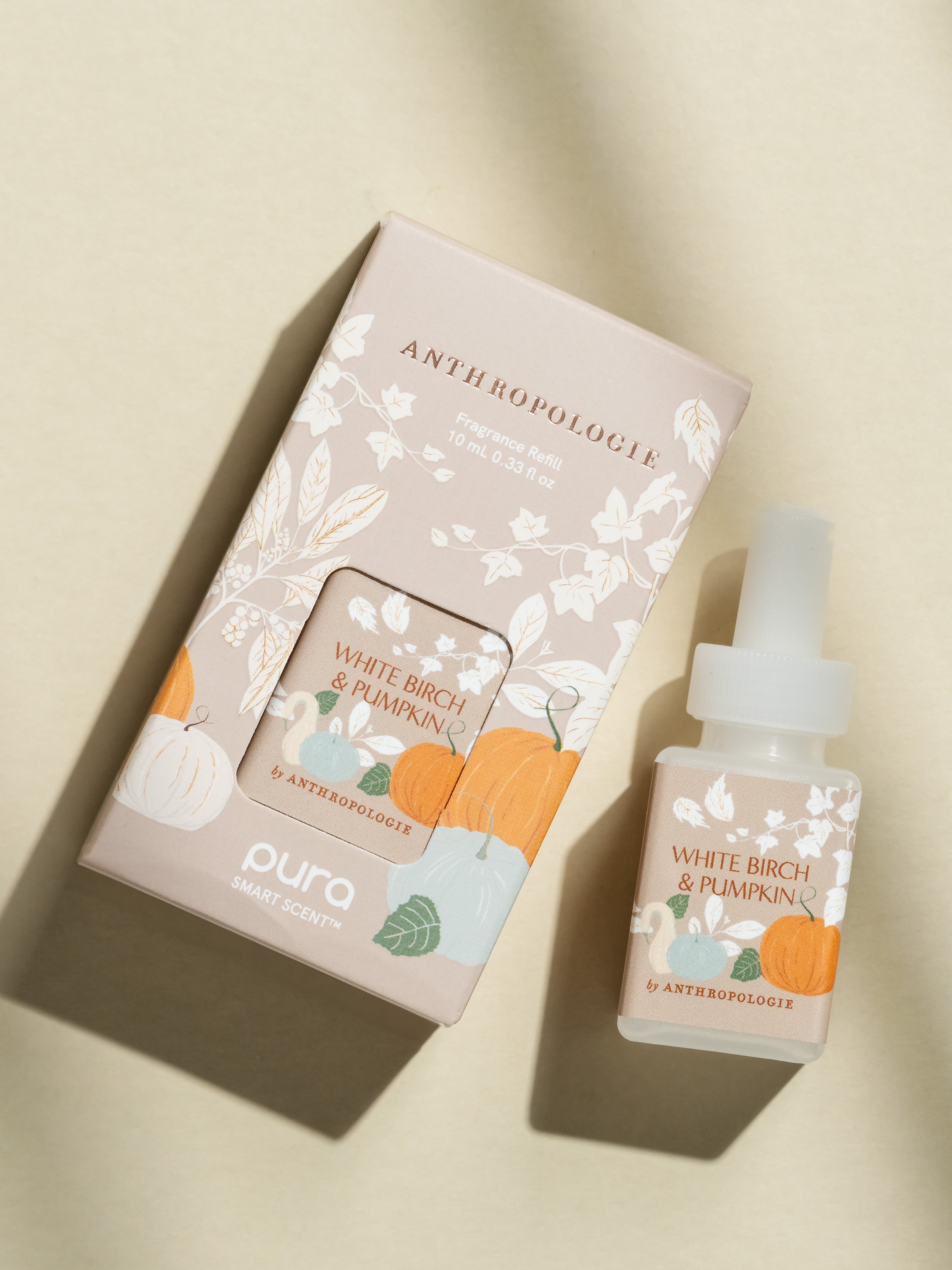 White Birch & Pumpkin - Fresh Space Daily