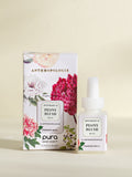 Peony Blush - Modern Scent Feel