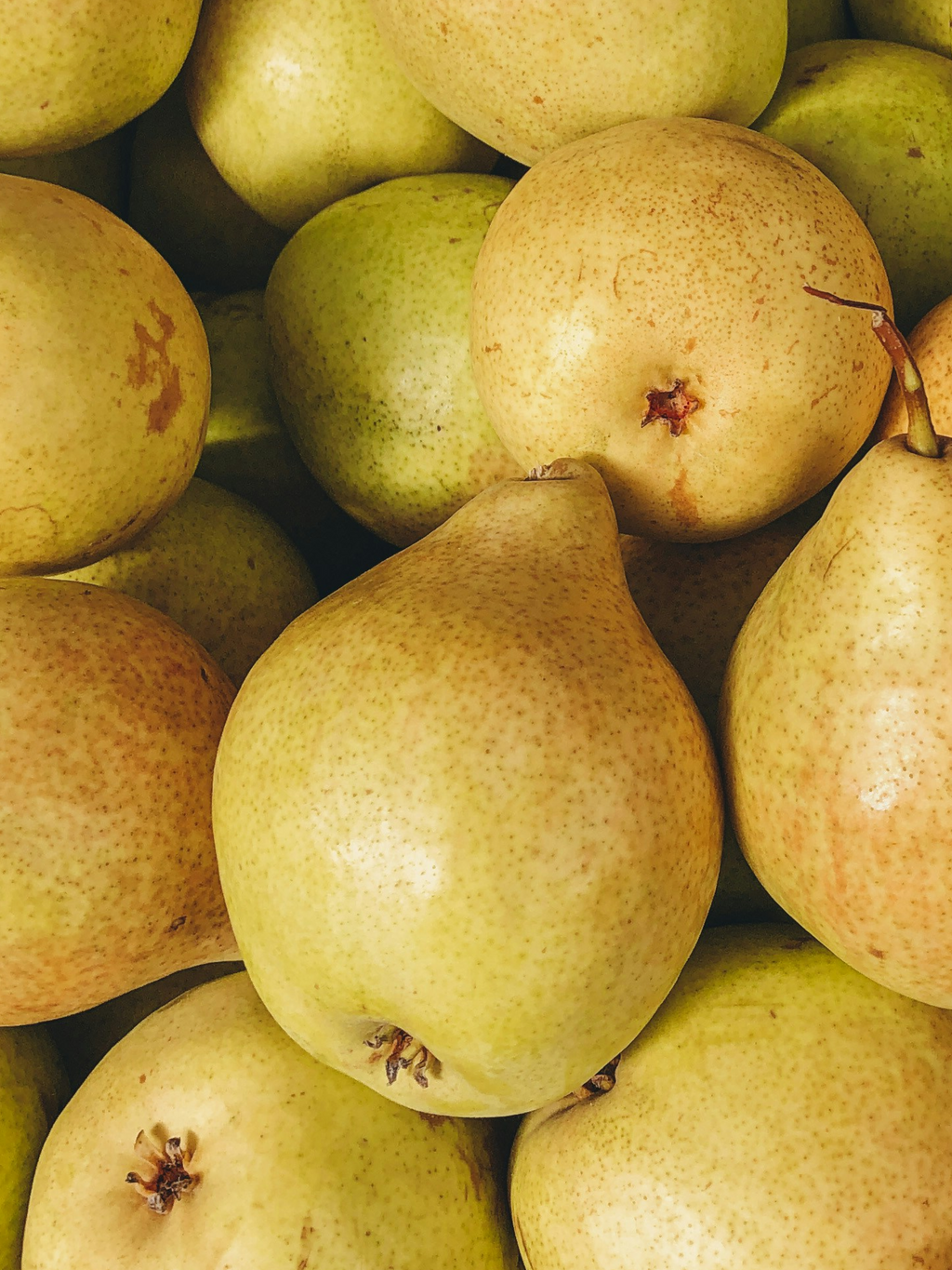 Cashmere Pear - Pura for Home