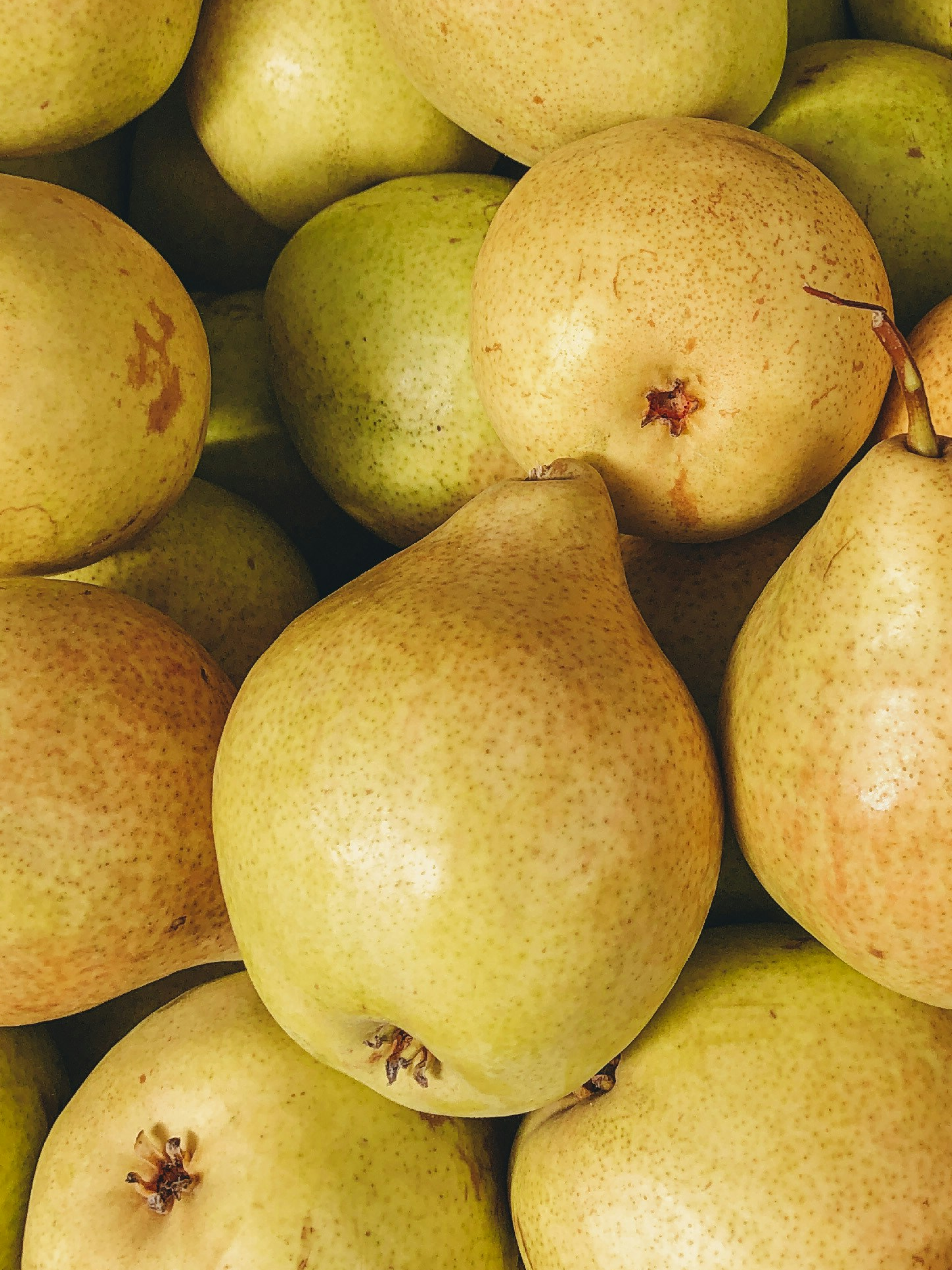 Cashmere Pear - Pura for Home