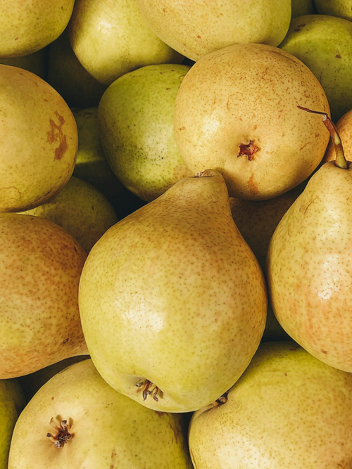 Cashmere Pear - Pura for Home