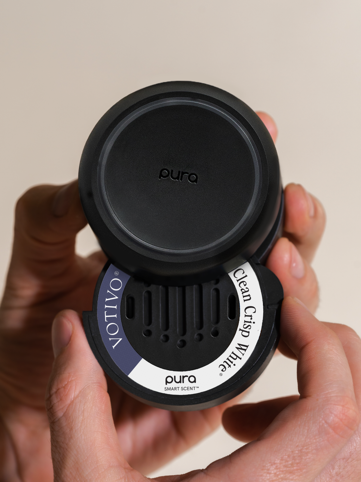 Clean Crisp White - Daily Scent Upgrade