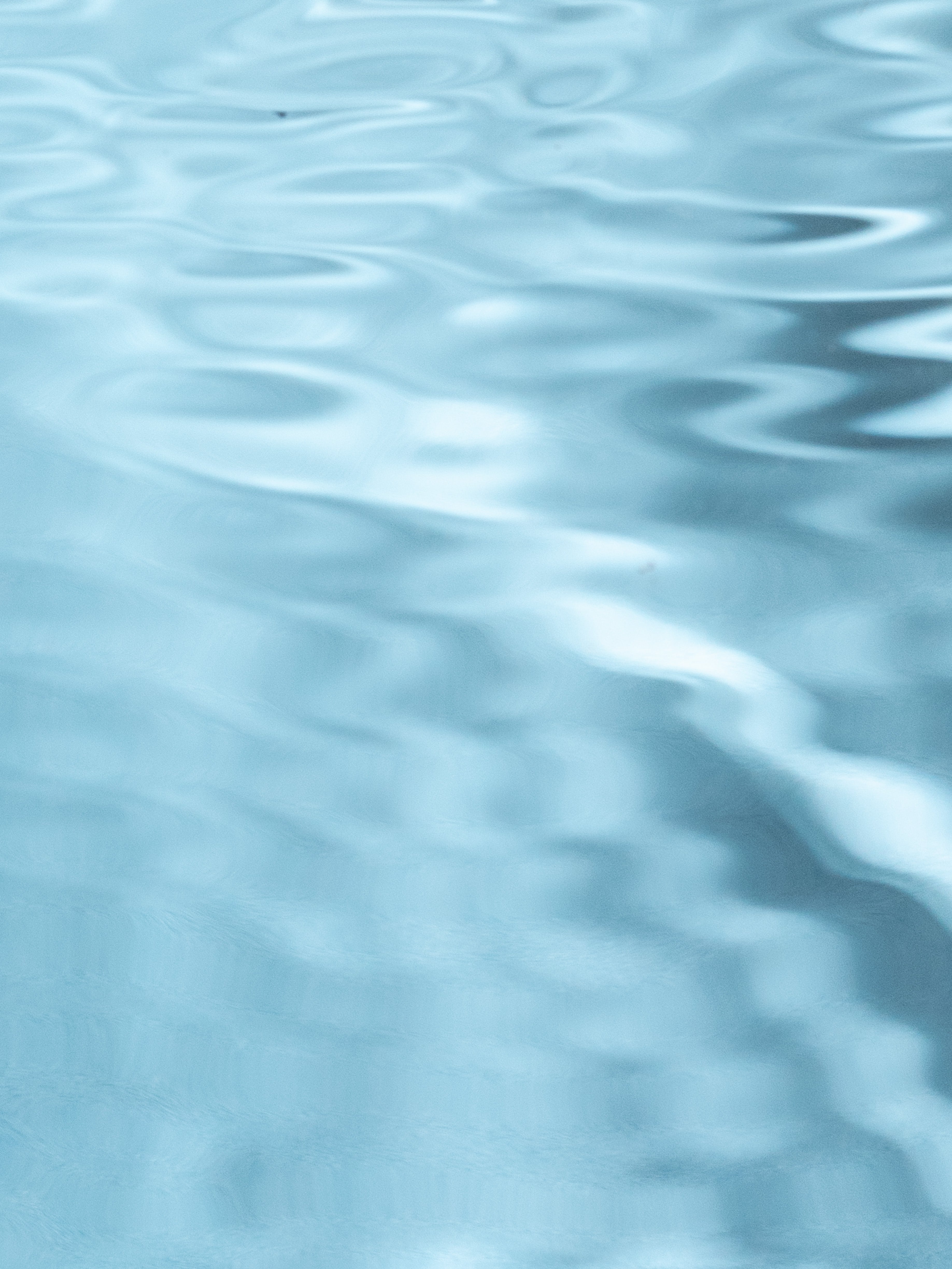 Aqua Coralline - Scent Made Modern