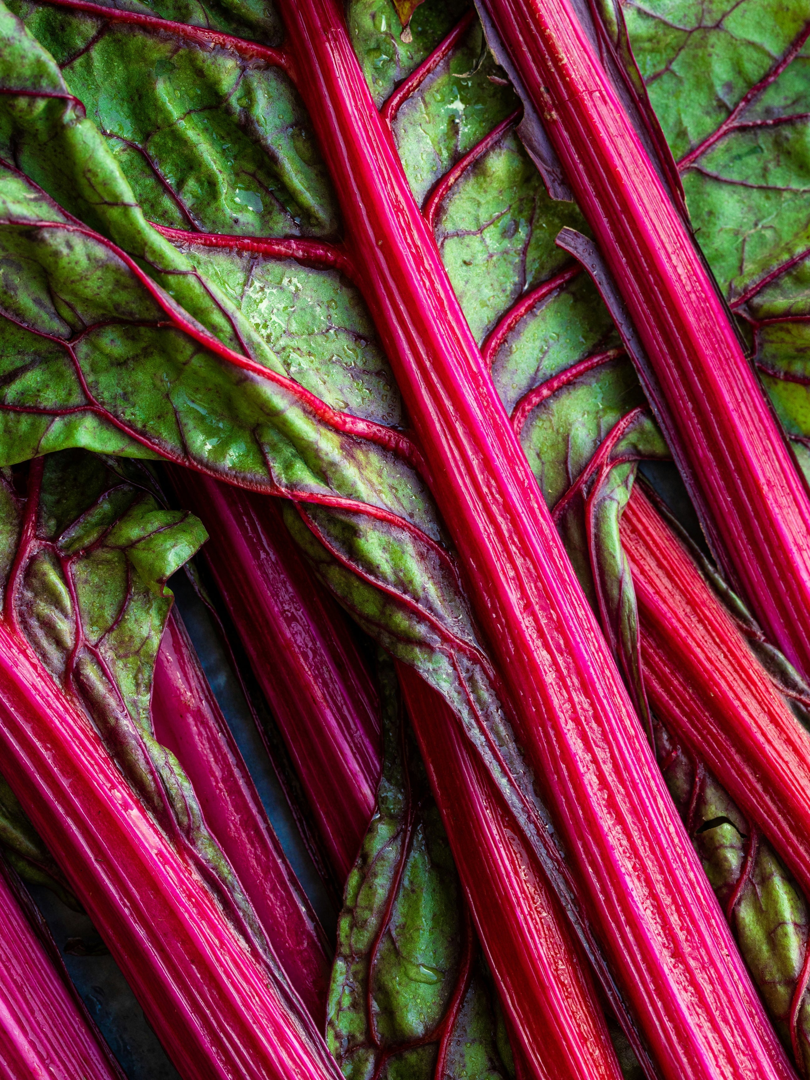 Rhubarb Honey - A Home Little Moment