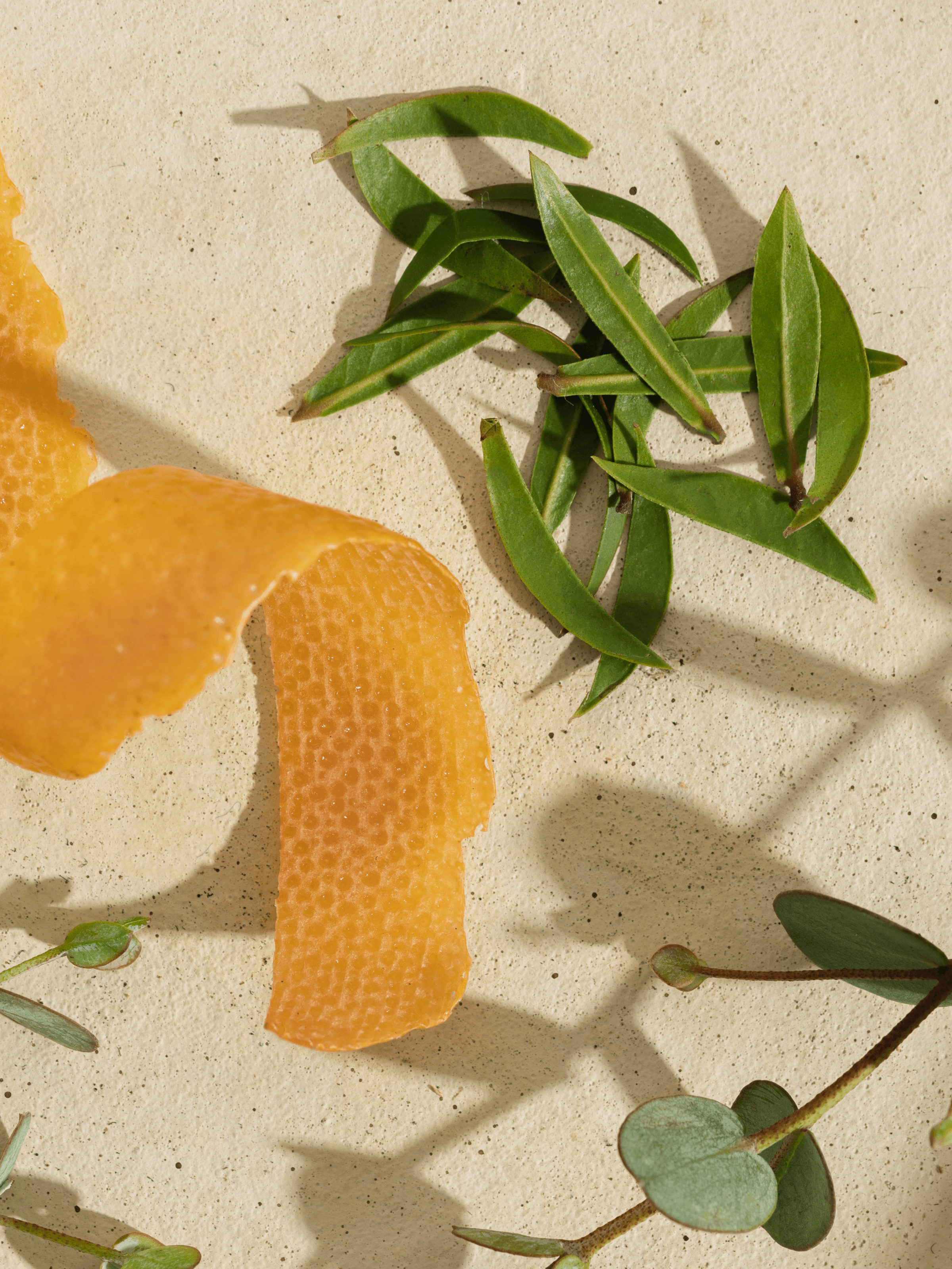 White Tea Blossom - Your Pura Pick