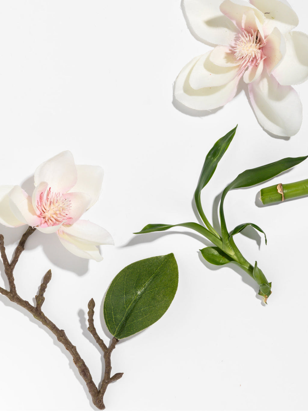 Star Magnolia - Home Scent Control