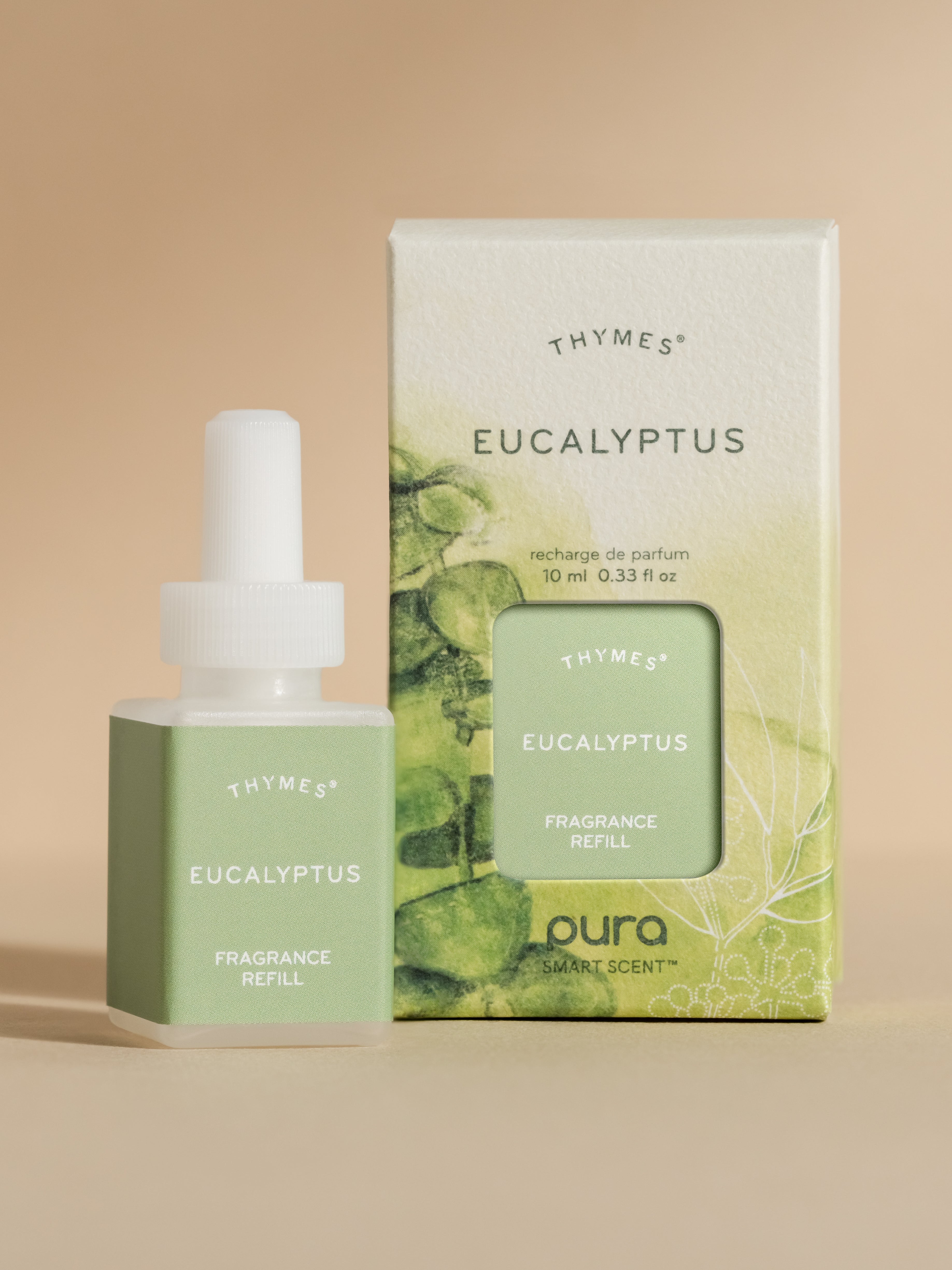 Eucalyptus - Refresh Every Corner