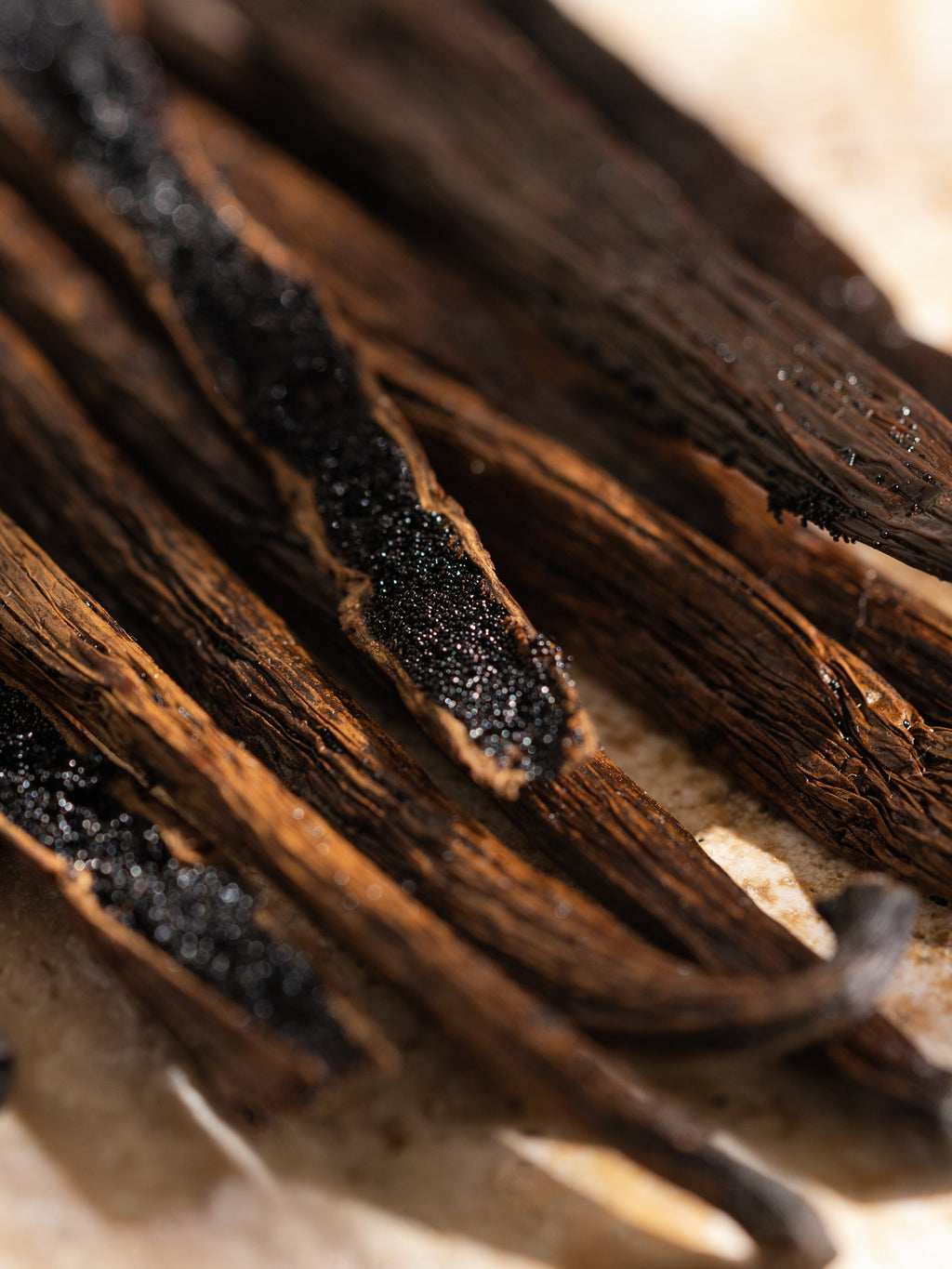Havana Vanilla - Pura with Style