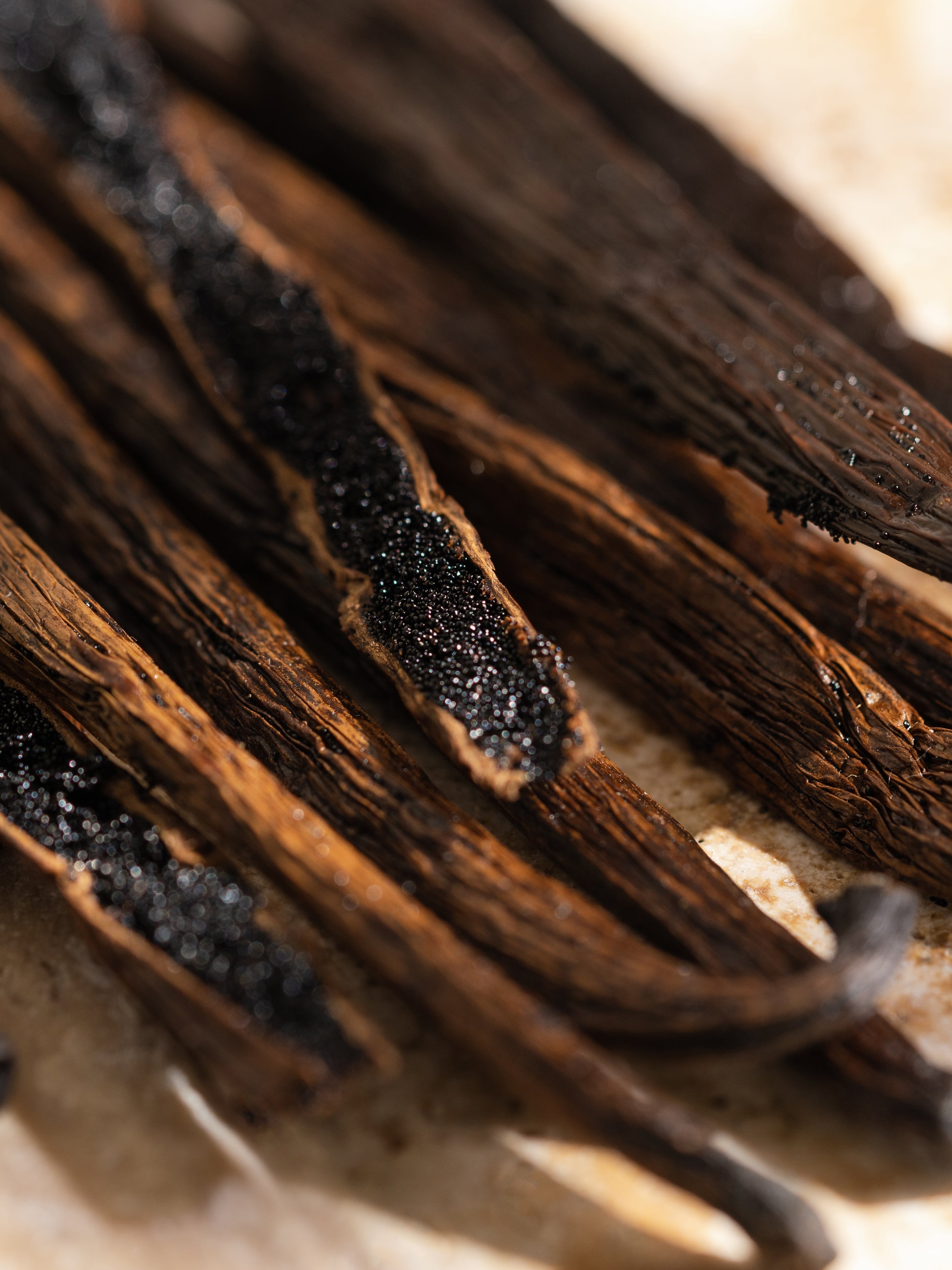 Havana Vanilla - Pura with Style