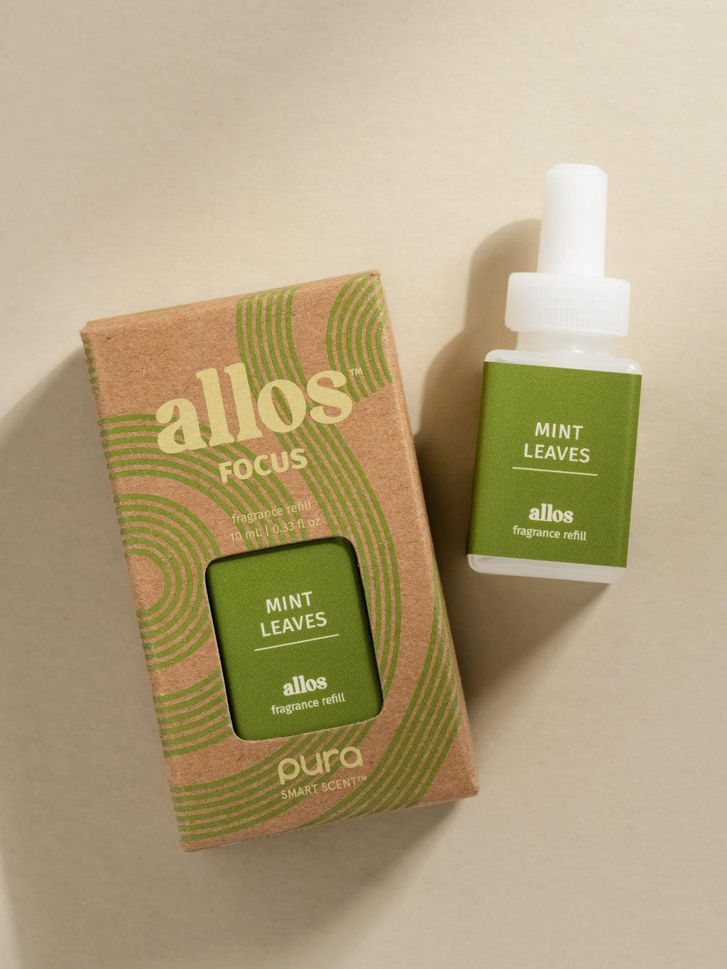 Mint Leaves - Your Daily Freshness