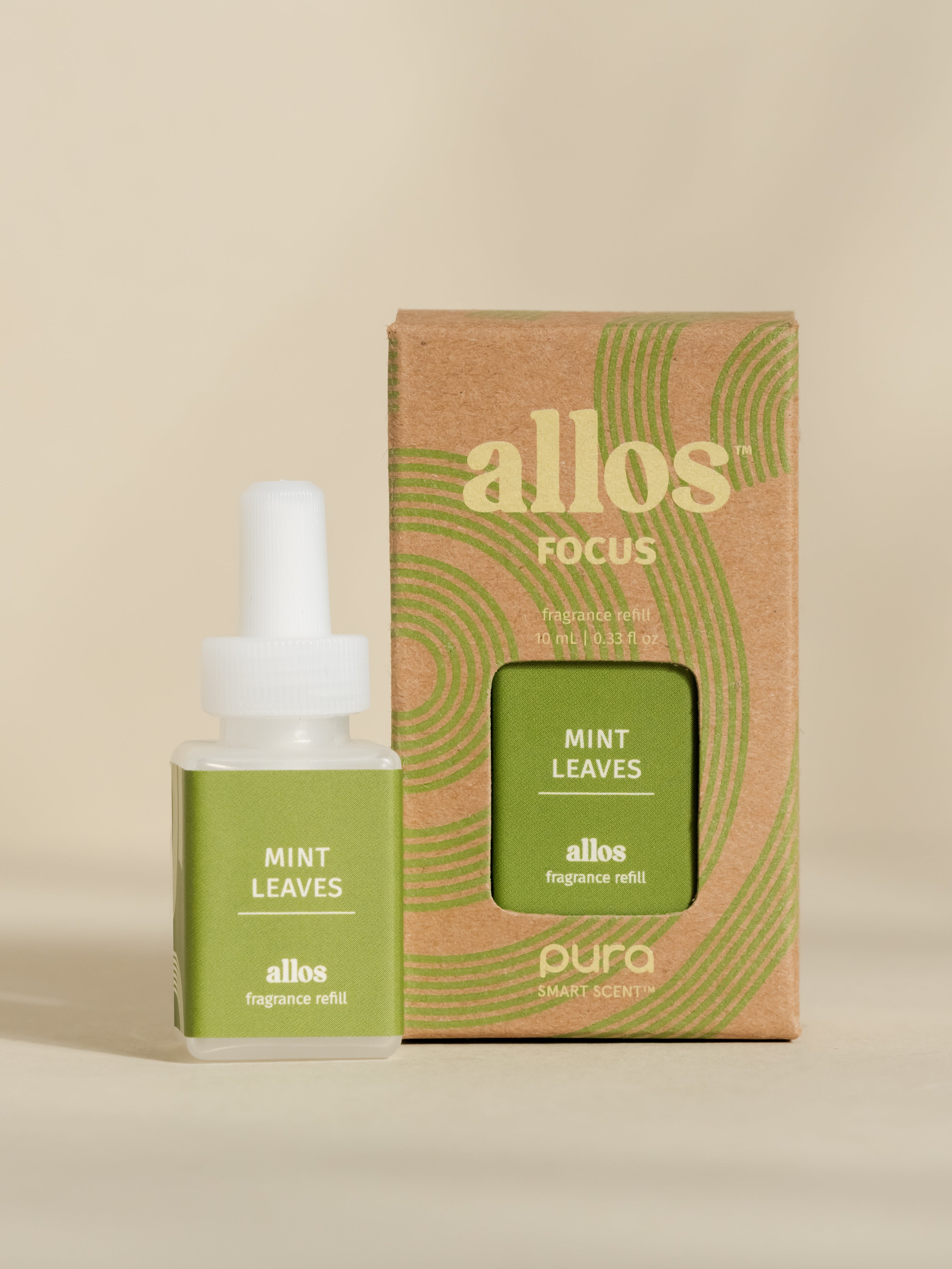 Mint Leaves - Your Daily Freshness