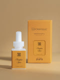 Pumpkin Spice - Modern Room Scent