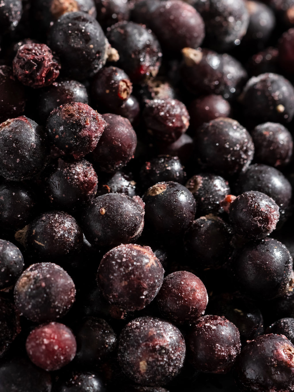 Sparkling Currant - Premium Home Scent