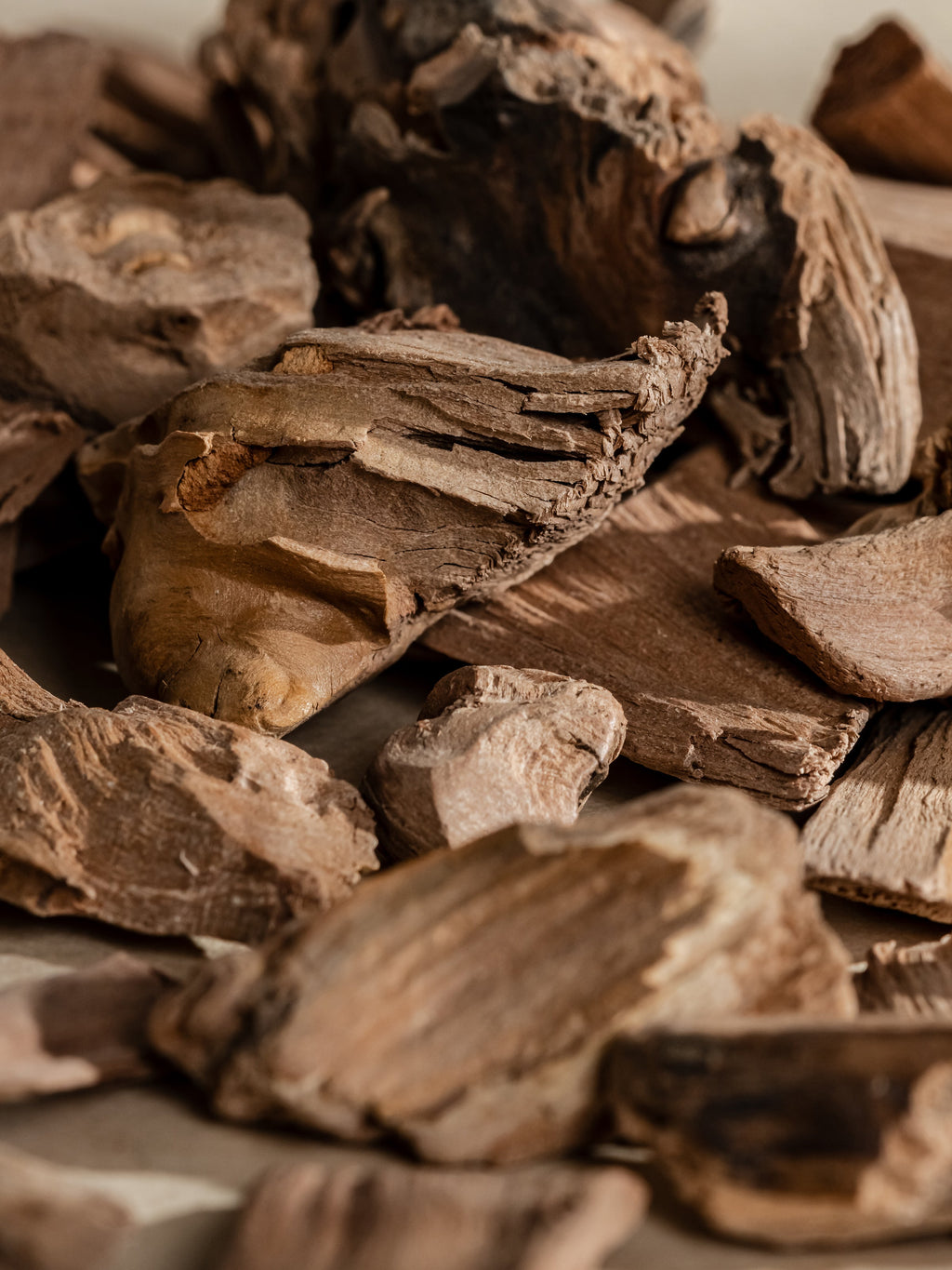 Chestnut Embers - Pura Essential