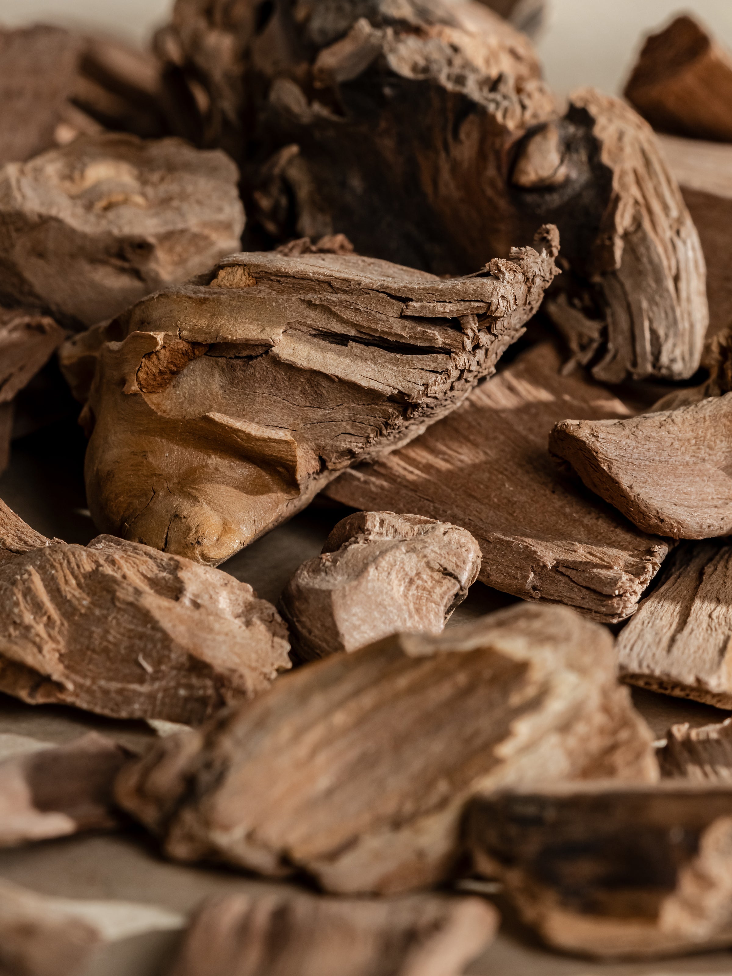 Chestnut Embers - Pura Essential