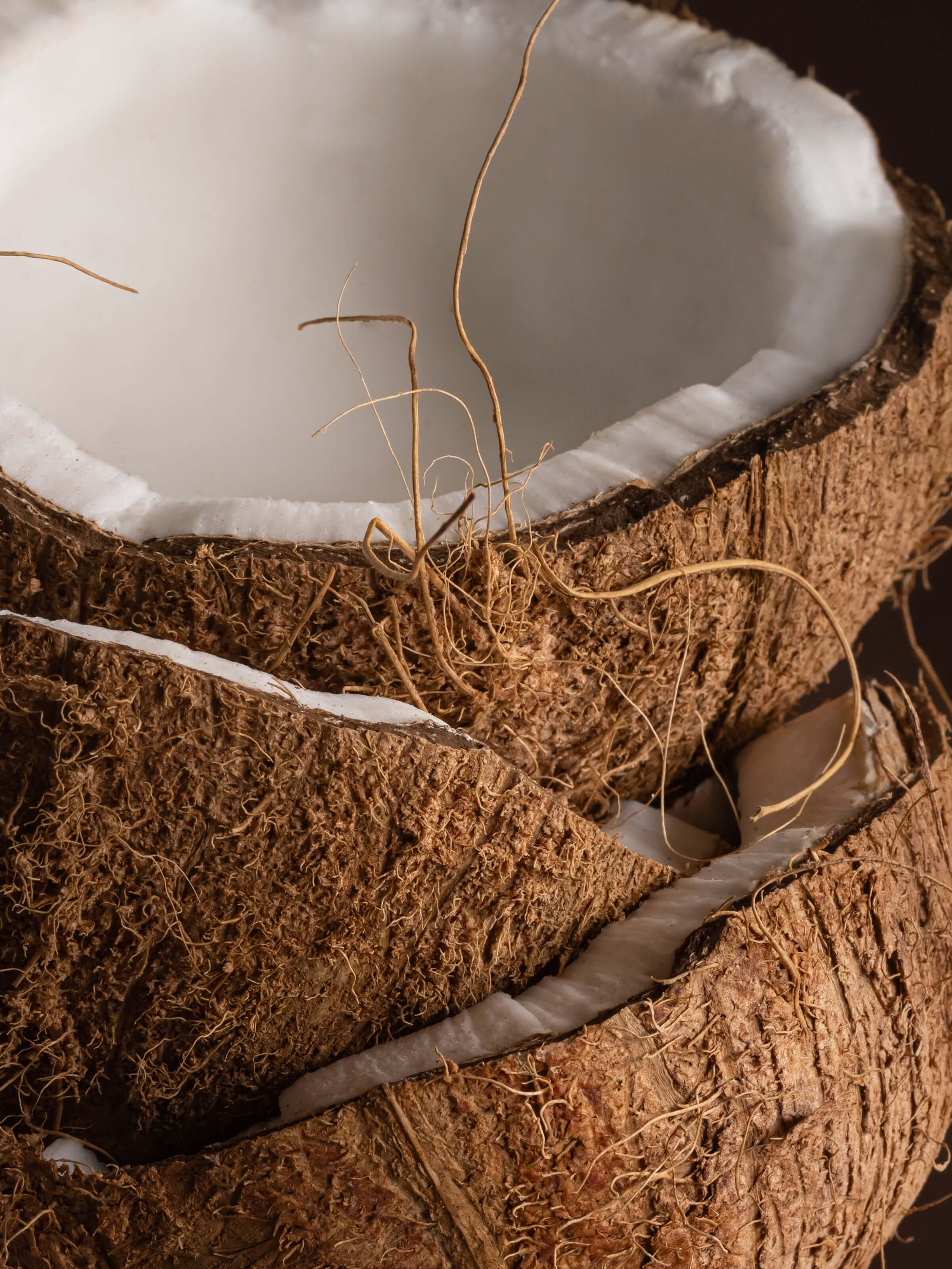 Coconut Milk Mango - Home Fragrance Daily