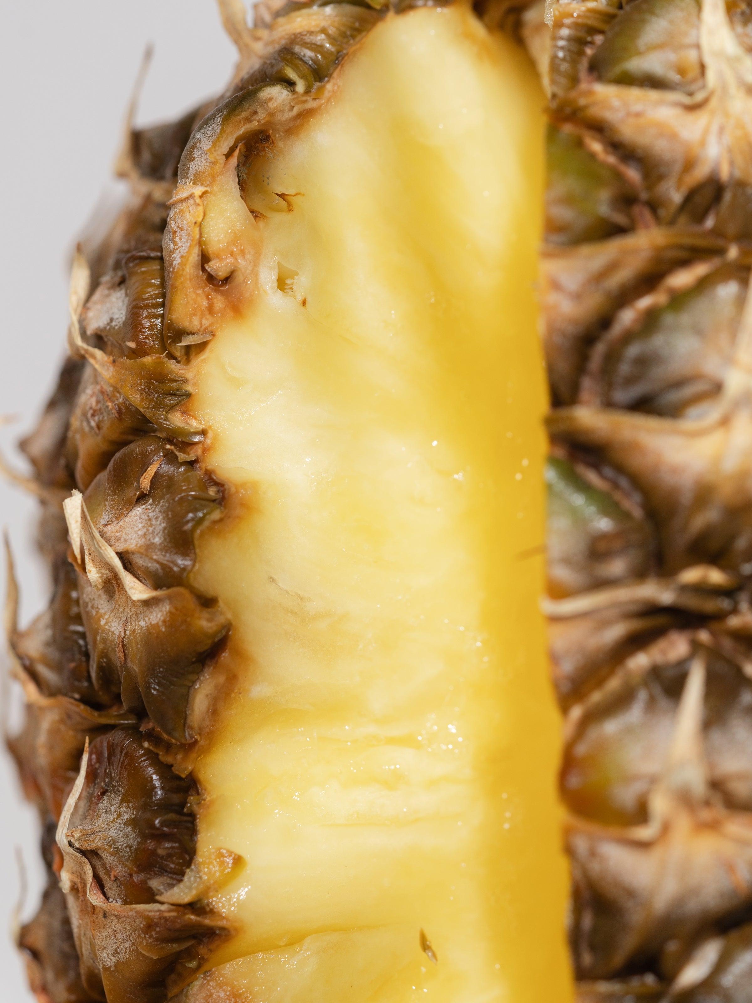 Pineapple Flower - Scent the Evening