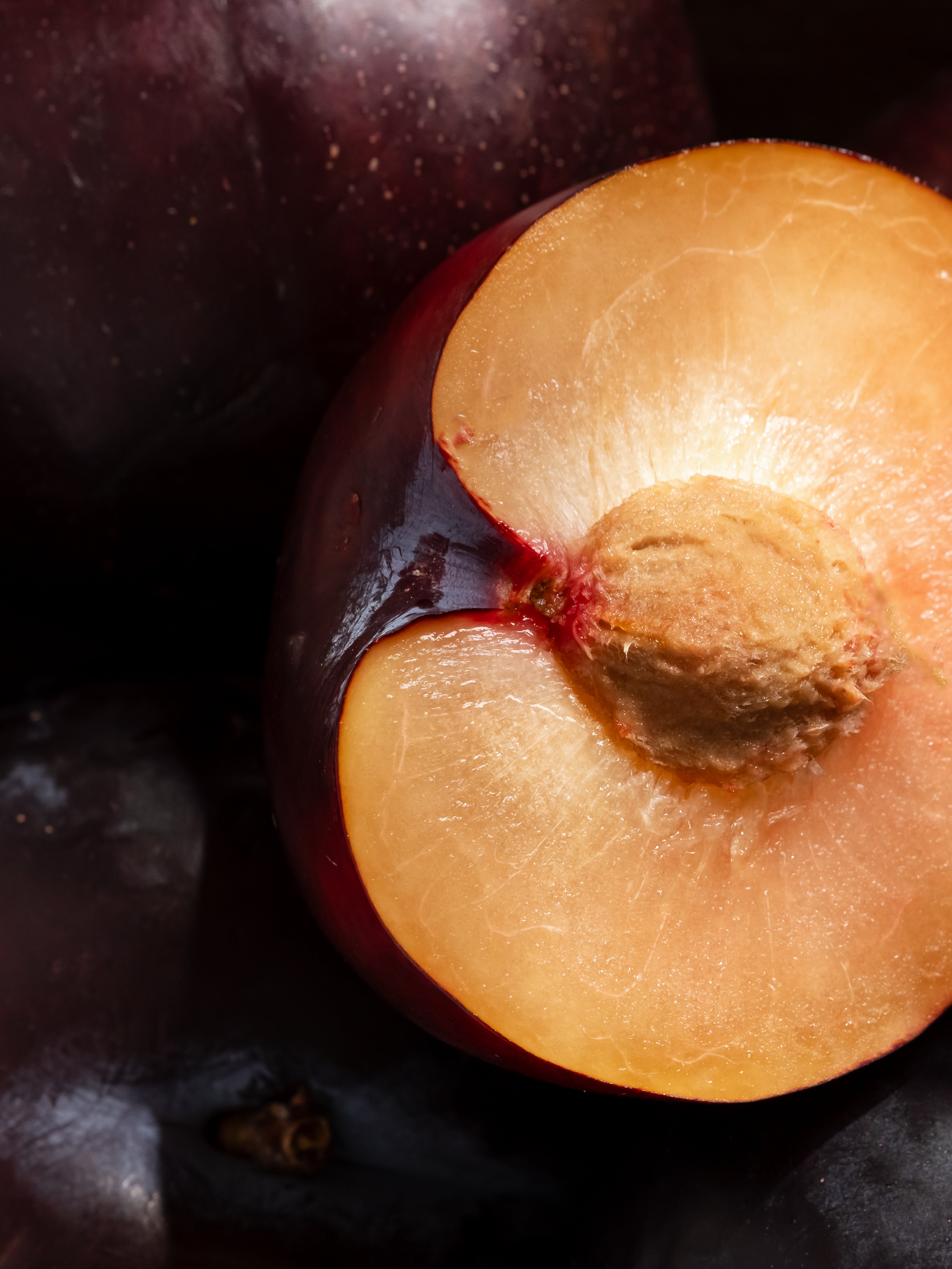 Autumn Plum - Modern Home Scent