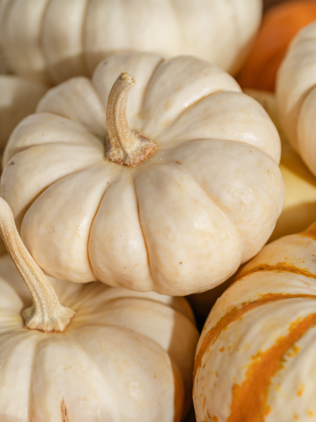 Pumpkin Macchiato - Made for Cozy Spaces
