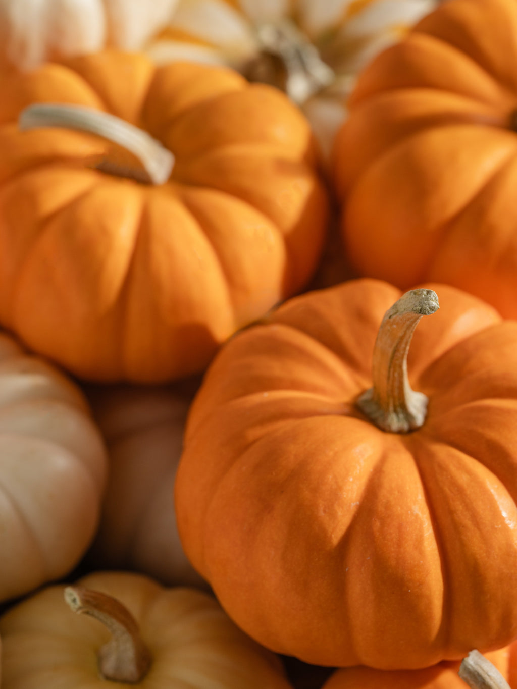 Pumpkin Picking - Scent Made Modern