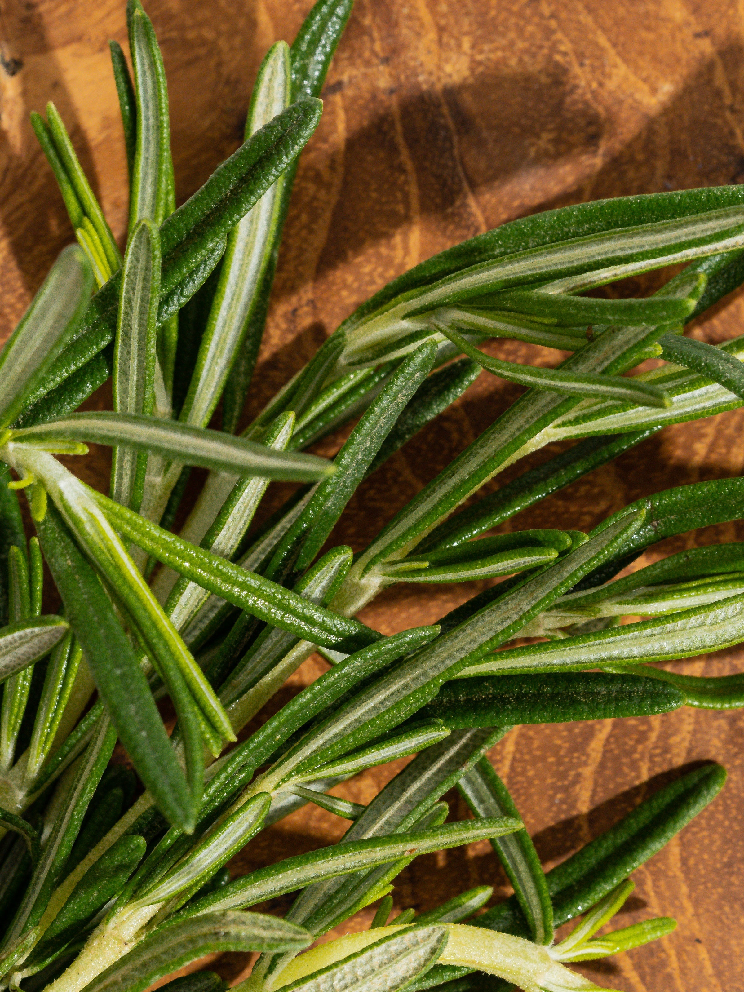 Rosemary Eucalyptus - Smart Room Refresh